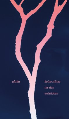 eBook: keine stütze als das entzücken