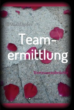 eBook: Teamermittlung