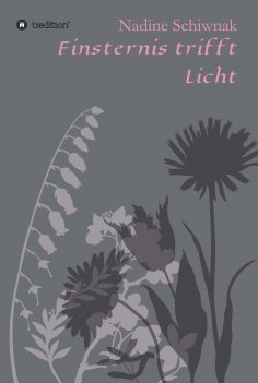 eBook: Finsternis trifft Licht