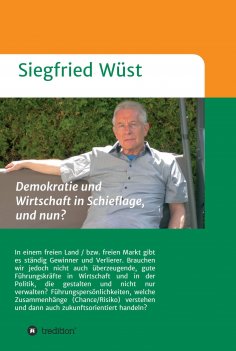 eBook: Demokratie und Wirtschaft in Schieflage, und nun?