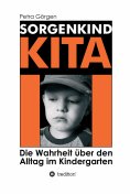 ebook: Sorgenkind Kita