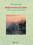 eBook: Stolpersteine im Leben - Krisen erkennen und überstehen