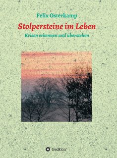 eBook: Stolpersteine im Leben - Krisen erkennen und überstehen