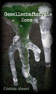 ebook: Gesellschaftsfreie Zone