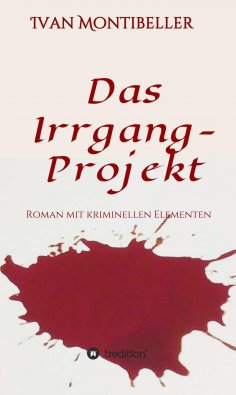 ebook: Das Irrgang-Projekt