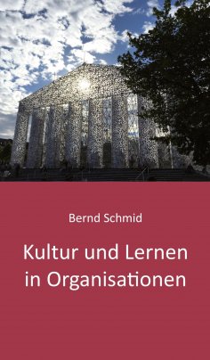 ebook: Kultur und Lernen in Organisationen