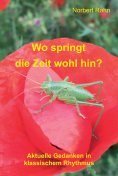 ebook: Wo springt die Zeit wohl hin?
