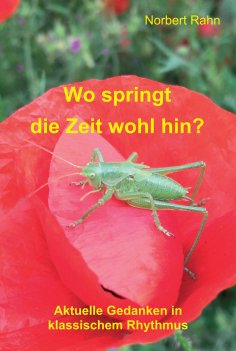 ebook: Wo springt die Zeit wohl hin?