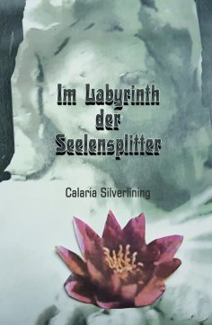 ebook: Im Labyrinth der Seelensplitter