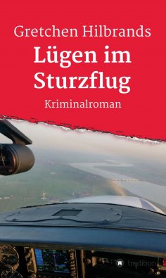 ebook: Lügen im Sturzflug