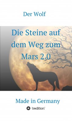 ebook: Die Steine auf dem Weg zum Mars 2.0