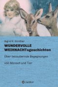 eBook: WUNDERVOLLE WEIHNACHTsgeschichten