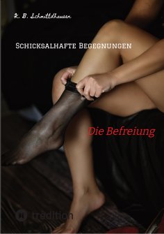 eBook: Schicksalhafte Begegnungen