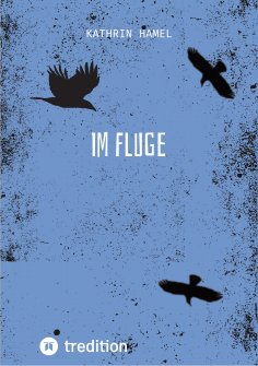 ebook: Im Fluge