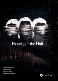 ebook: Floating in the Hail