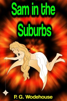 eBook: Sam in the Suburbs