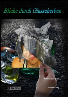ebook: Blicke durch Glasscherben