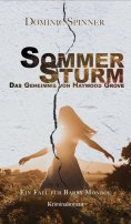 eBook: Sommersturm - Das Geheimnis von Haywood Grove: Der zweite Fall für Barry Monroe