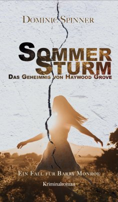 eBook: Sommersturm - Das Geheimnis von Haywood Grove: Der zweite Fall für Barry Monroe