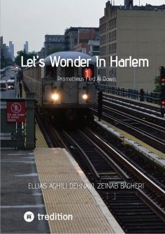 ebook: Let's Wonder In Harlem