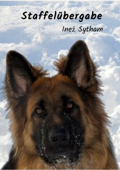 ebook: Staffelübergabe