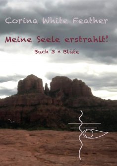 eBook: Meine Seele erstrahlt!