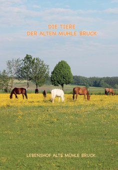 ebook: Wie kommt das Pony auf den Gnadenbrothof?