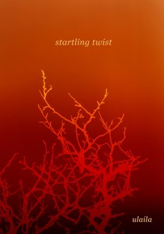 eBook: startling twist