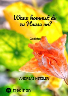 ebook: Wann kommst du zu Hause an?