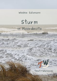 eBook: Sturm in Moordevitz