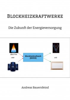 eBook: Blockheizkraftwerke