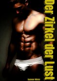 ebook: Der Zirkel der Lust