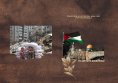 eBook: Palestine: A Historical Analysis of the Struggle