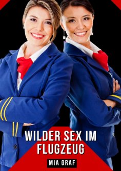 ebook: Wilder Sex im Flugzeug