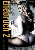 ebook: Ehebruch 2