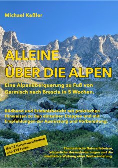 ebook: Alleine über die Alpen