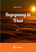ebook: Begegnung in Triest - Ein spannender Politthriller
