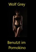 ebook: Benutzt im Pornokini