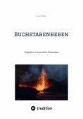 ebook: Buchstabenbeben