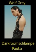 ebook: Darkroomschlampe Paul:a