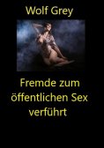 eBook: Fremde zum öffentlichen Sex verführt