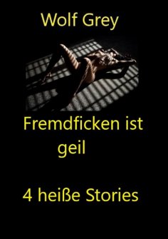 eBook: Fremdficken ist geil