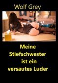 ebook: Meine Stiefschwester ist ein versautes Luder