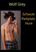 ebook: Schwule Parkplatzhure