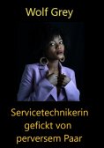 ebook: Servicetechnikerin gefickt von perversen Paar