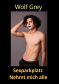 ebook: Sexparkplatz Nehmt mich alle