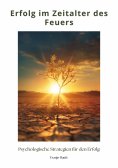 ebook: Erfolg im Zeitalter des Feuers