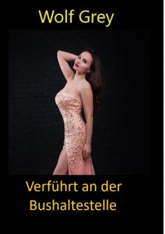 ebook: Verführt an der Bushaltestelle