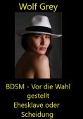 ebook: BDSM - Vor die Wahl gestellt Ehesklave oder Scheidung