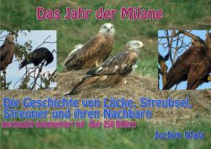 ebook: Das Jahr der Milane